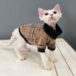 Hemden für Sphynx Katze-Devon Rex tragen Hemd