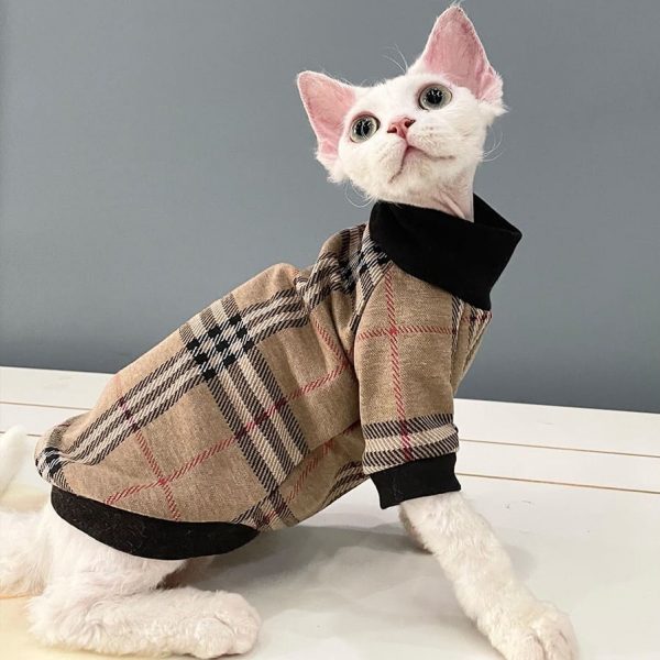 Gucci Cat Clothes  Luxury Gucci Coat for Sphynx Hairless Cat ?