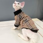 Shirts for Sphynx Cat-Devon Rex wear shirt