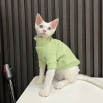 Solid Color Gray Sweater for Hairless Cat - Green