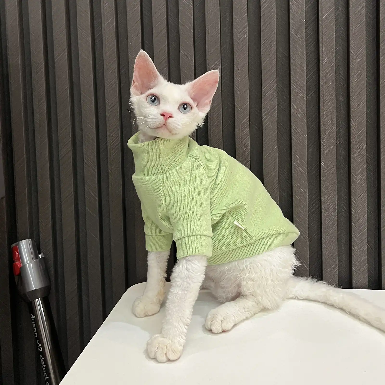 Cat Sweater for Cat | Turtleneck for Sphynx, Color: Gray