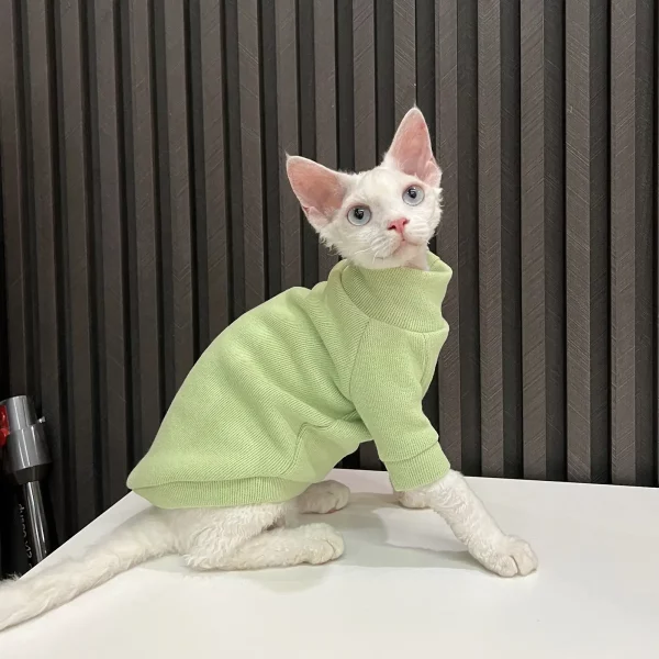Solid Color Gray Sweater for Hairless Cat - Green