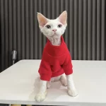 Solid Color Gray Sweater for Hairless Cat - Red