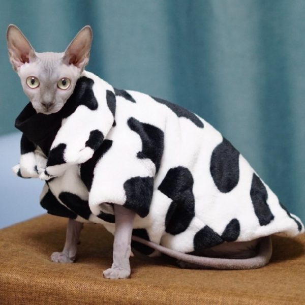 Manteau de vache pour chat Sphynx - Manteau d'usure pour chat Sphynx