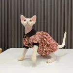 Sphynx Cat Dress-Breathable Little Fairy Dress