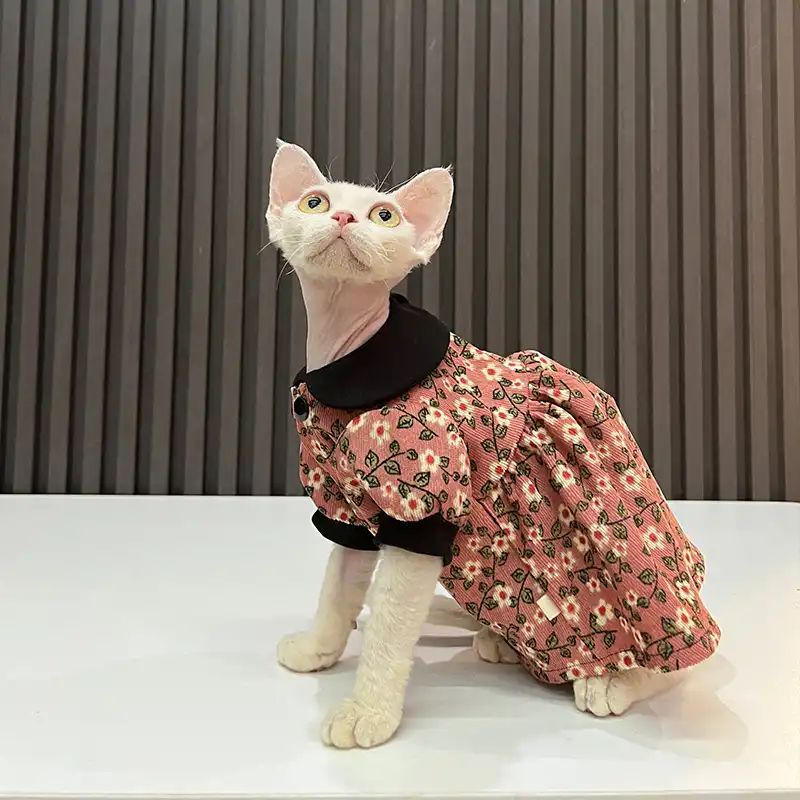 Sphynx Cat Dress-Breathable Little Fairy Dress