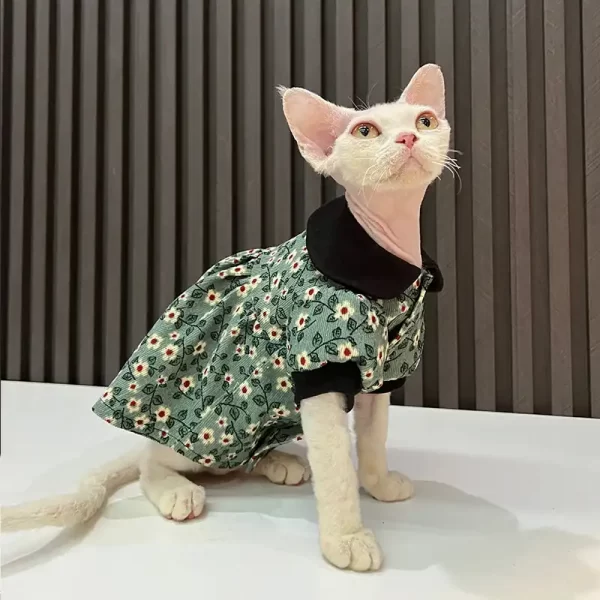 Платье для кошки сфинкса - дышащее платье маленькой феи