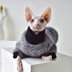 Cat turtleneck sweater store