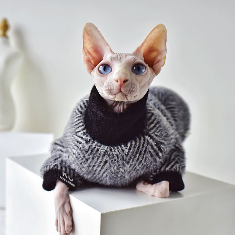 Sphynx Cat Turtleneck Cat Turtleneck Sweater Hairless Cat Turtleneck