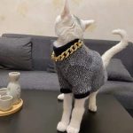 Sphynx Cat Turtleneck | Cat Turtleneck Sweater, Hairless Cat Turtleneck