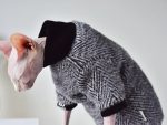 Sphynx Cat Turtleneck | Cat Turtleneck Sweater, Hairless Cat Turtleneck