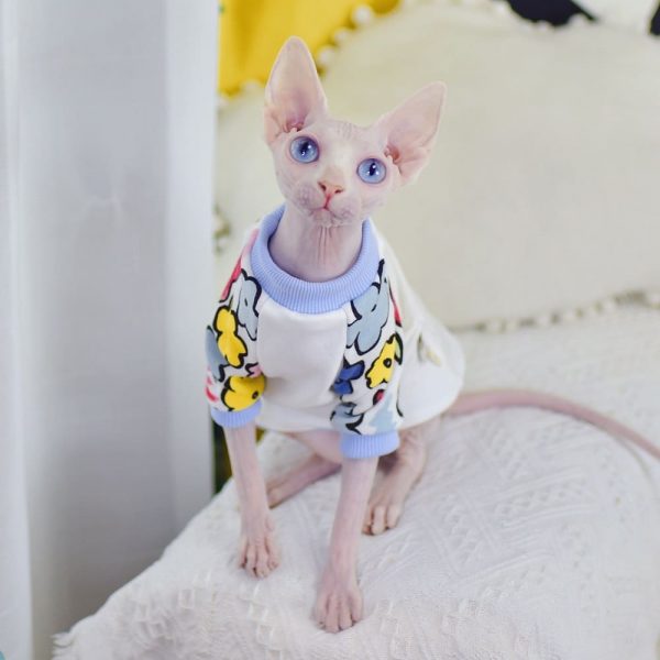 Shirt for A Cat-Sphynx wears shirt