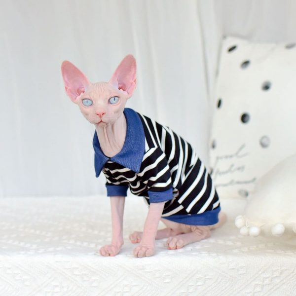 Shirts for Hairless Cats & Sphynx Cat denim stripe tshirts