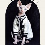 Chanel luxurious cat coat for Sphynx& Hairless Cat | Fashion winter jacket