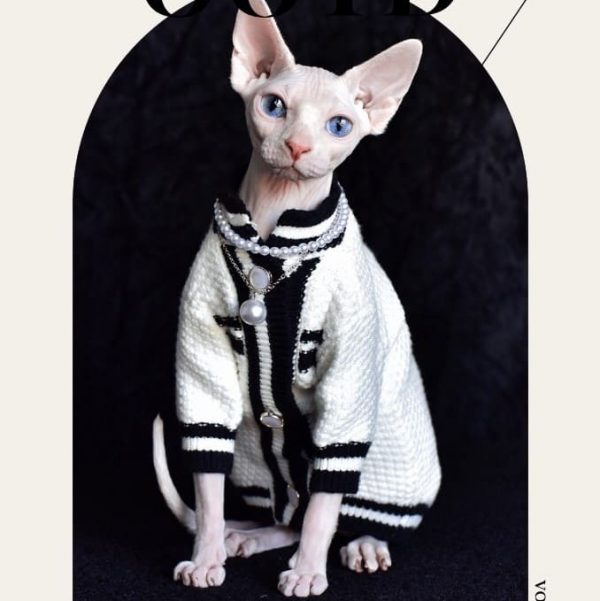 Chanel luxurious cat coat for Sphynx& Hairless Cat Fashion winter jacket