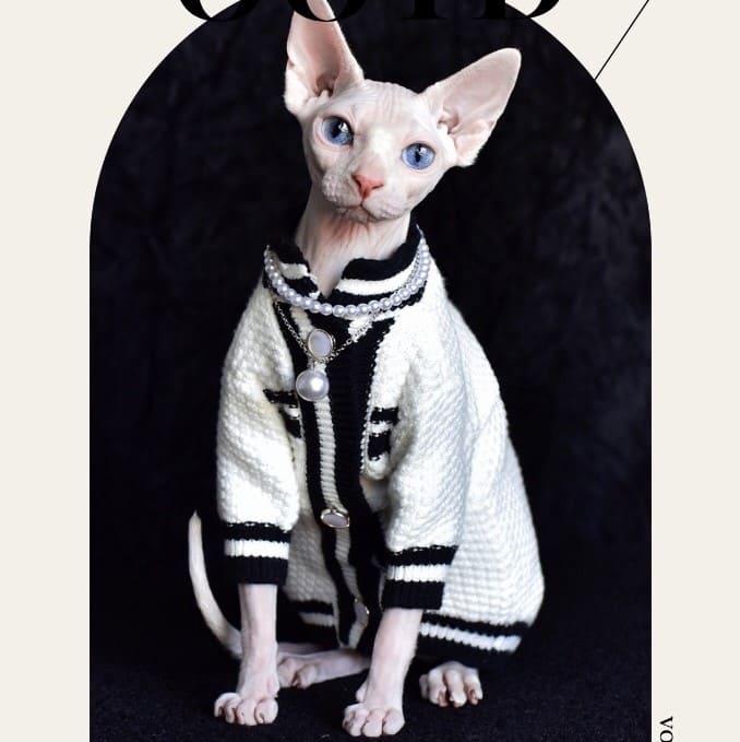 Chanel luxueux manteau pour Sphynx & Chat sans poil | Mode veste d'hiver