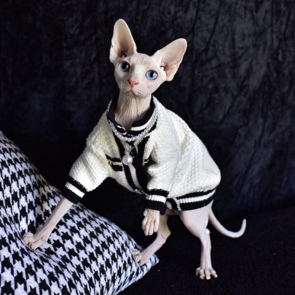 Chanel abrigo de gato de lujo para Sphynx & Hairless Cat | Chaqueta de invierno de moda