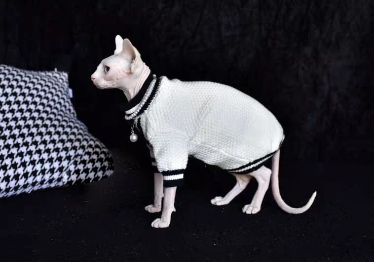 Chanel luxurious cat coat for Sphynx& Hairless Cat | Fashion winter jacket