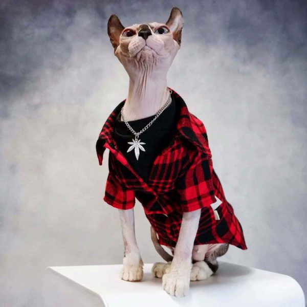 Cat Pajamas for Cats | Silk LV Pajamas for Sphynx, Cat Pajamas