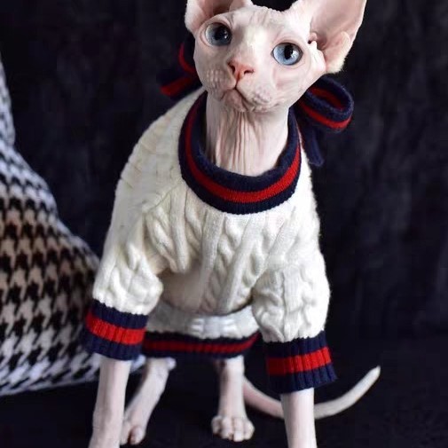 シャネルキャットコート｜猫用シャネルコート、猫用防寒コート、高級猫服