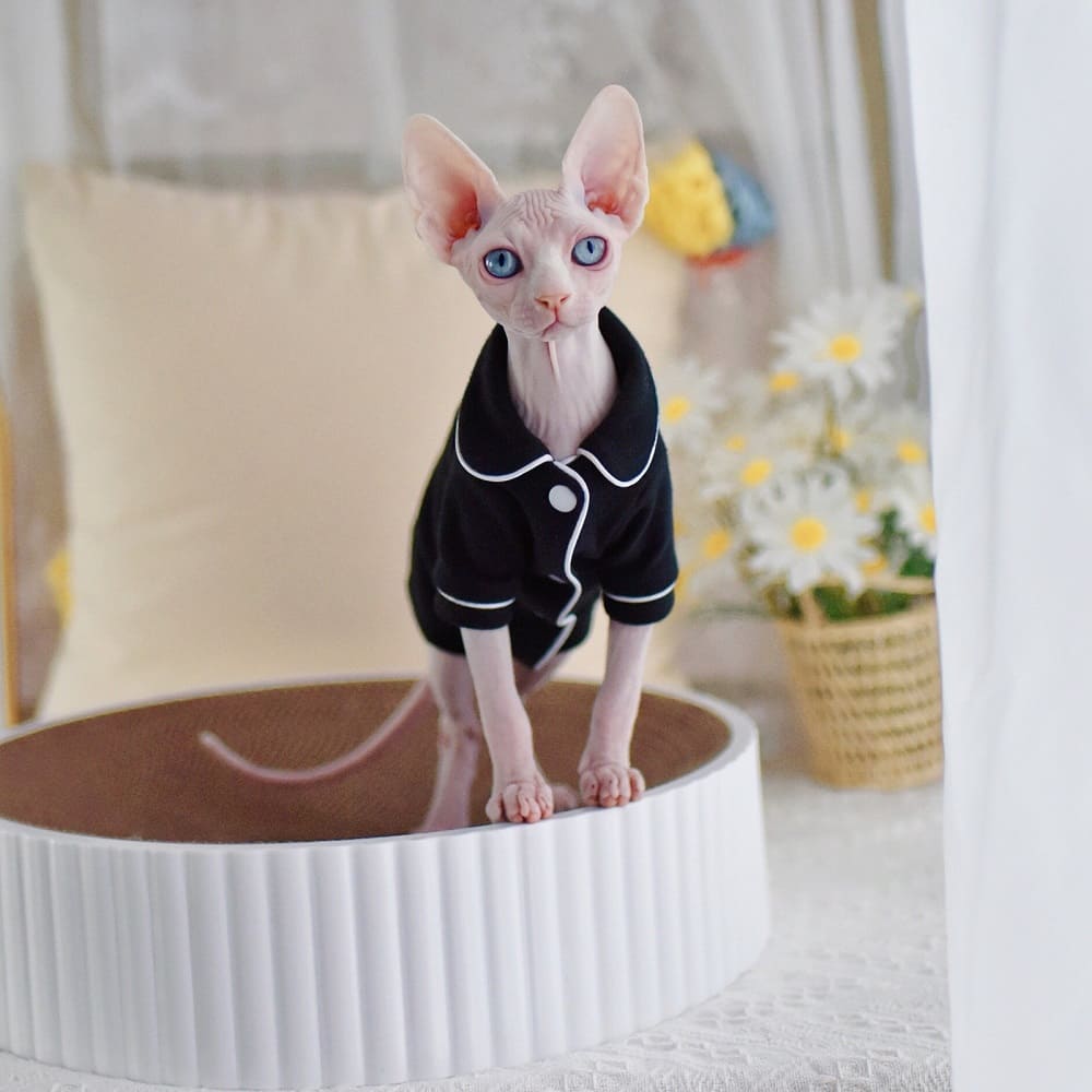 Sphynx Cat Jacket & Coat for Hairless Cat Plaid jacket suit white