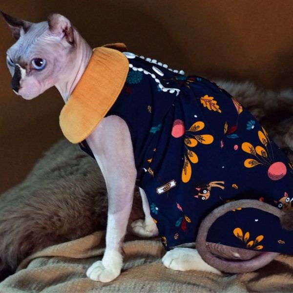 Cat with Dress-Sphynx wears dress