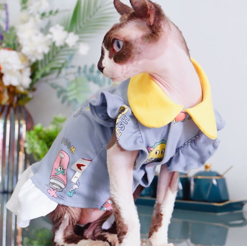 Sphynx Cat Dress & Hairless cat in dress Little flying sleeve dress
