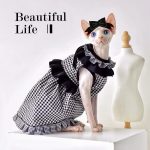 Sphynx Princess Dress-Sphynx wears dress