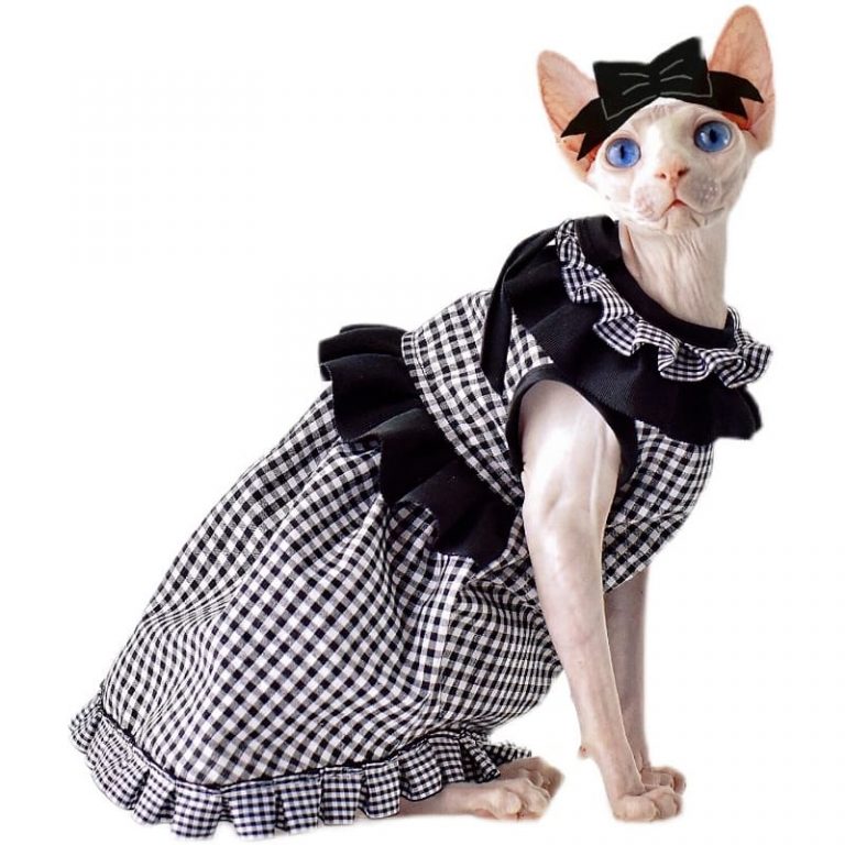 Sphynx Princess Dress Cat Luxury Dress, Cat Cute Outfit, Wedding dress