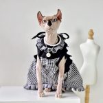 Sphynx Princess Dress-Sphynx wears dress