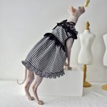 Sphynx Princess Dress-Sphynx wears dress