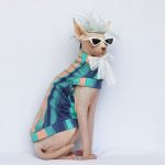 Sphynx Single Arm Shirt Blue-Green Shirt for Sphynx, One Hole Design