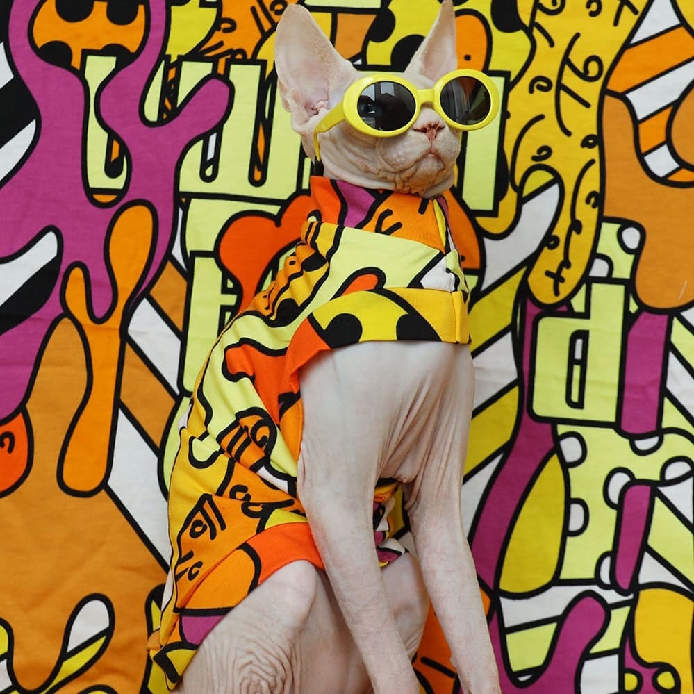 Cat Shirt for Cat-Sphynx wears one arm shirt and glasses