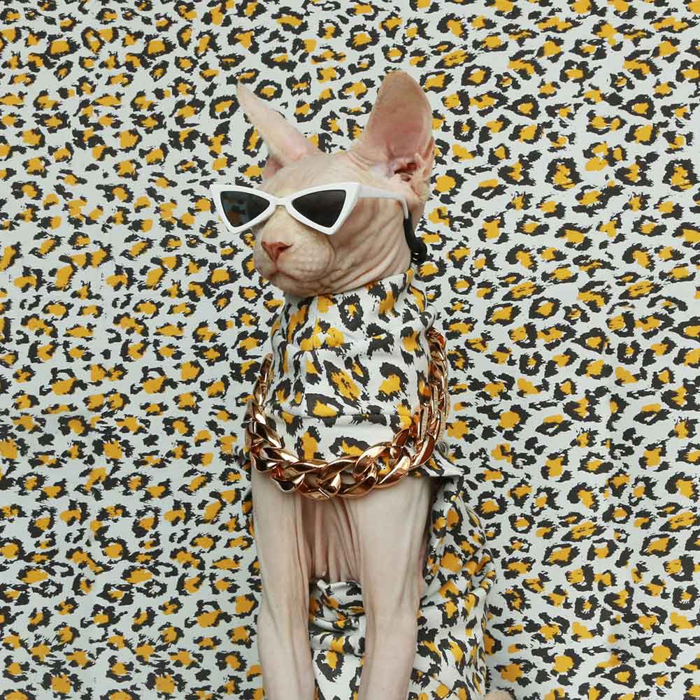 Cat Shirt for Cats-Sphynx wears leopard shirt