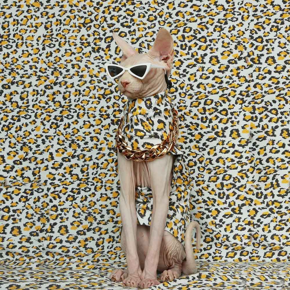 Cat Shirt for Cats-Sphynx wears leopard shirt