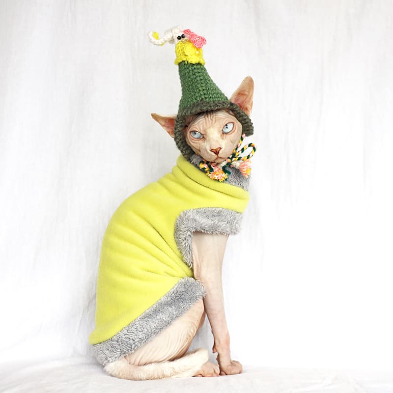Cat Halloween Outfits | A "Must-have" Halloween Costumes for cats
