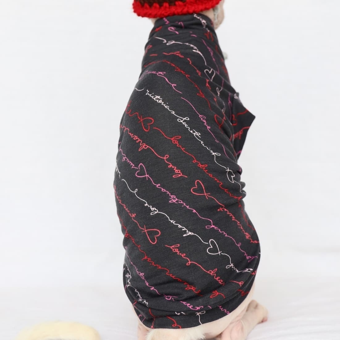 Hairless Cat Halloween Outfits | Cat Clothes, Halloween Costume for cats