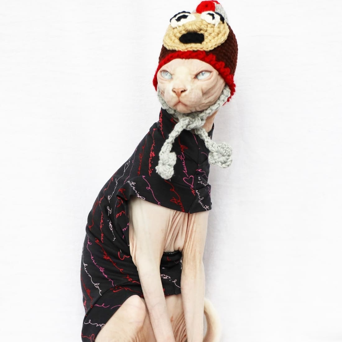 Hairless Cat Halloween Outfits | Cat Clothes, Halloween Costume for cats