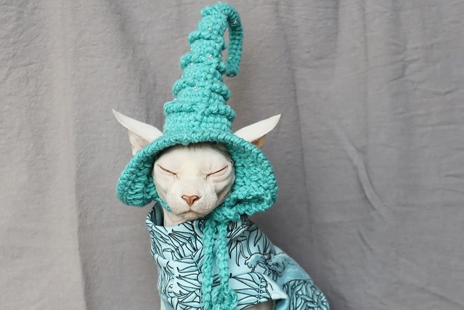 Cat Halloween Costumes | Kitty Cat Halloween Costume-Aqua blue cotton