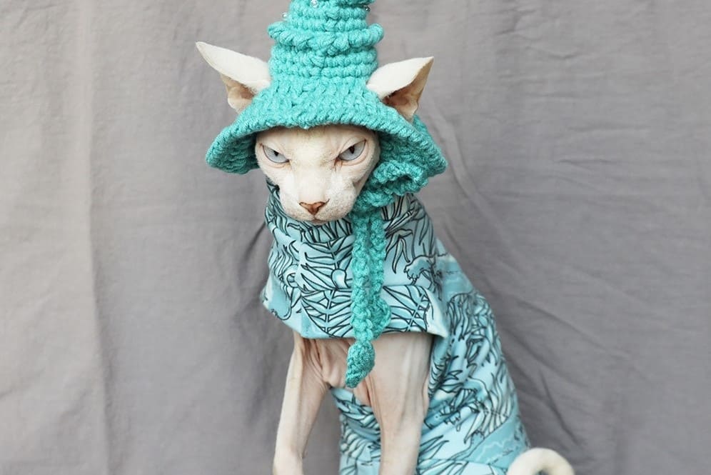 Cat Halloween Costumes | Kitty Cat Halloween Costume-Aqua blue cotton