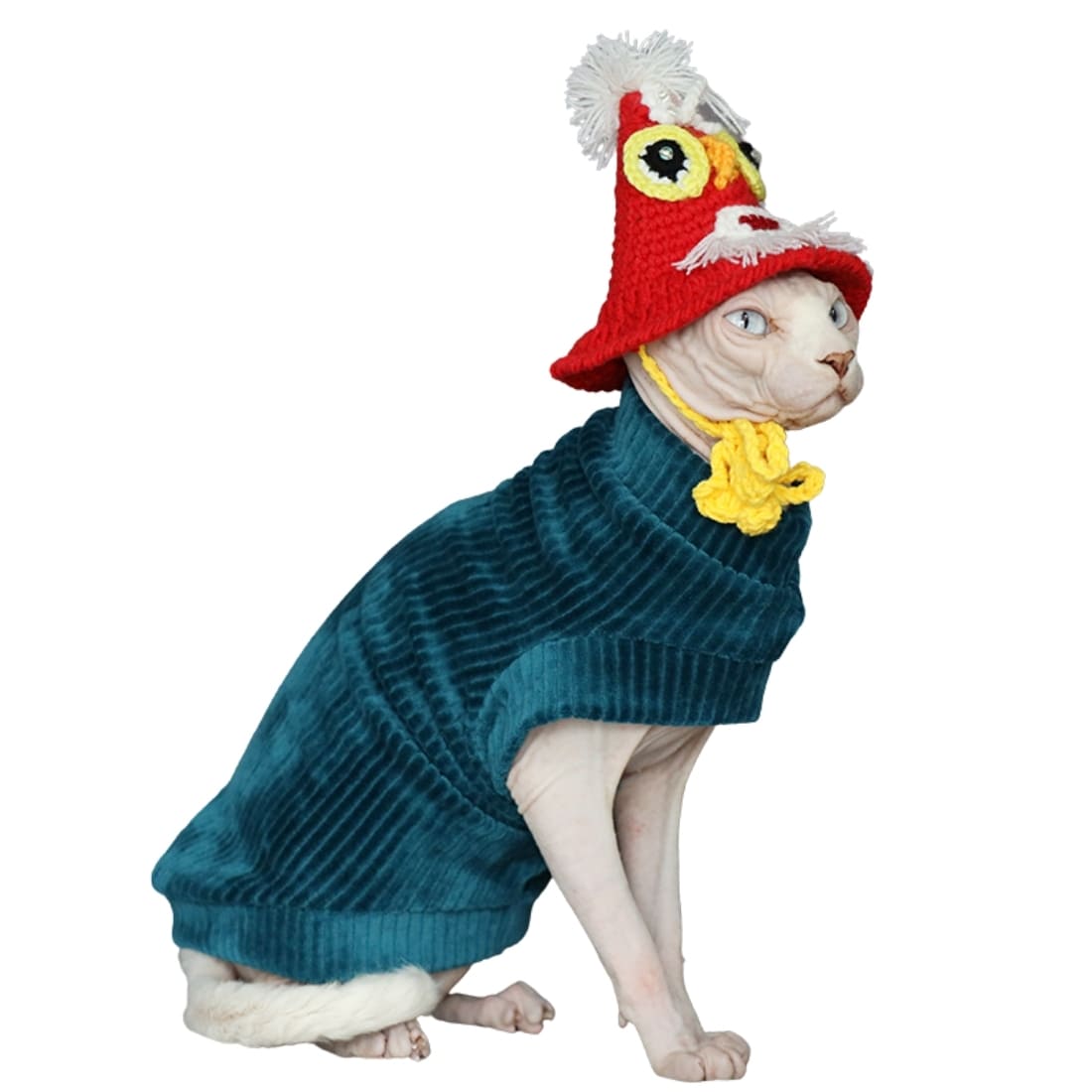 Halloween Outfits For Cats | A "Must-have" Halloween Costumes for cats