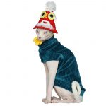 Halloween Outfits For Cats | A "Must-have" Halloween Costumes for cats