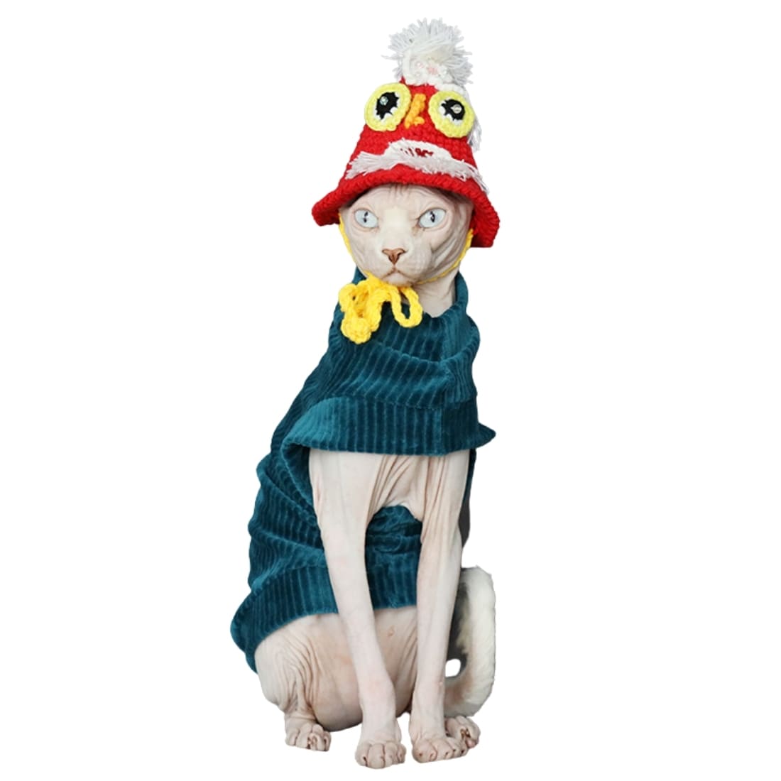 Halloween Outfits For Cats | A "Must-have" Halloween Costumes for cats