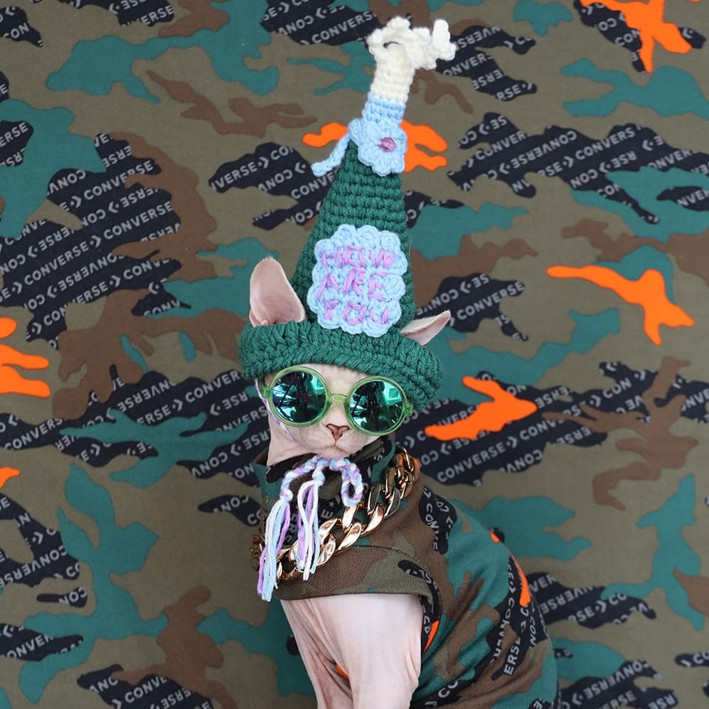 Sphynx Cat Halloween Costumes | Cat Halloween Costume, Cat Clothes Cat Cool Apparel