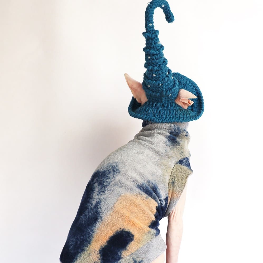 Sphynx Cat With Halloween Costumes | Cat Halloween Costume