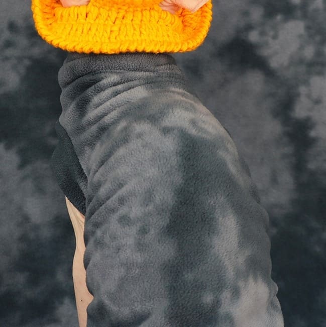 Ins Style For Cats Cat Halloween Clothes | A "Must-have" Halloween Cat Costume