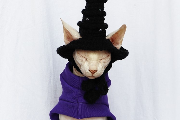 Halloween Costumes for Kittens | Cat Halloween Costume-Purple Thick