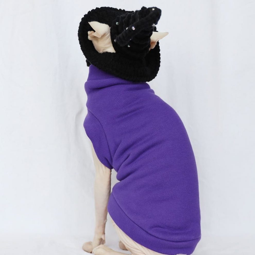 Halloween Costumes for Kittens Hairless Cat Halloween Costume
