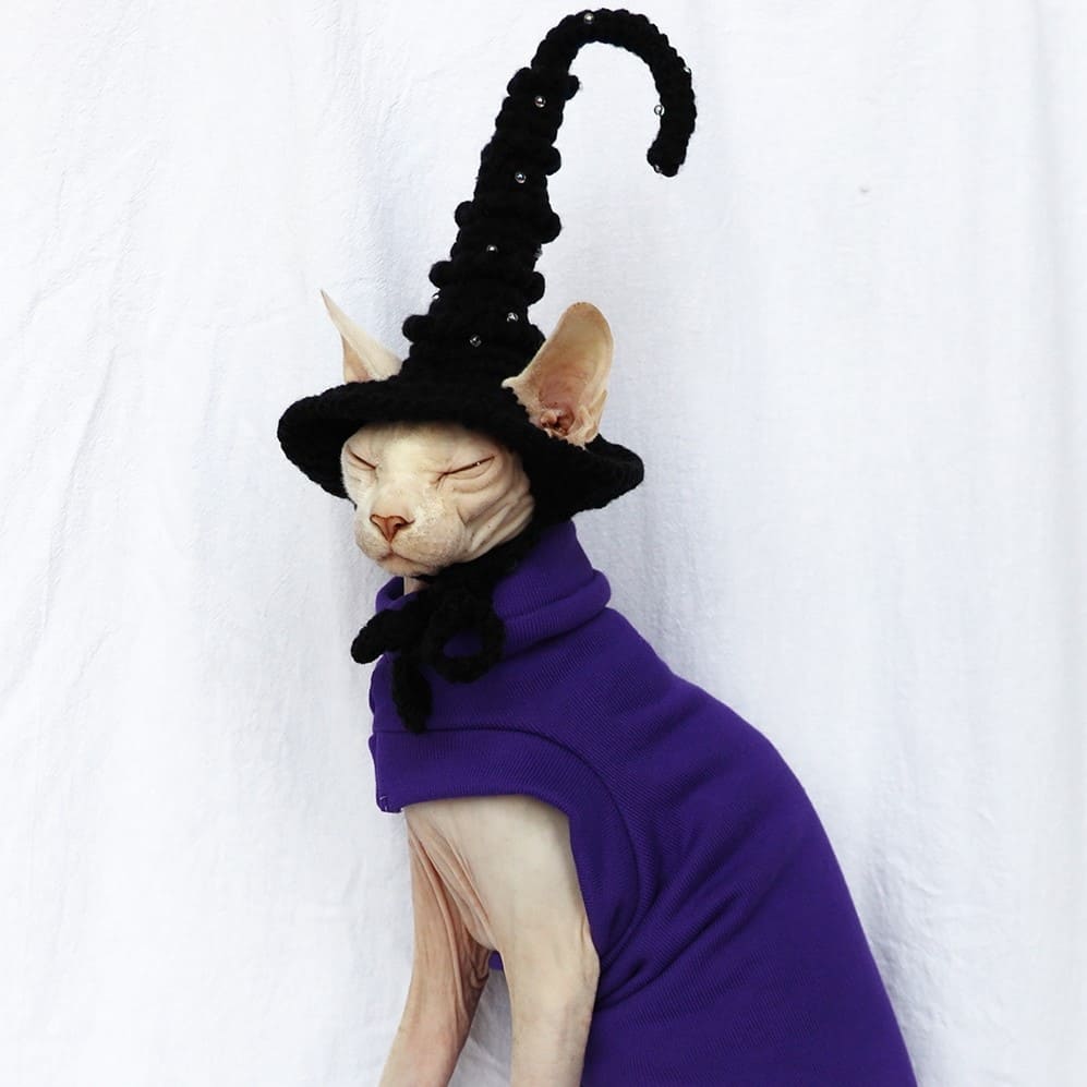 Cat Costumes For Halloween | Cat Halloween Costume-Purple thick cloth