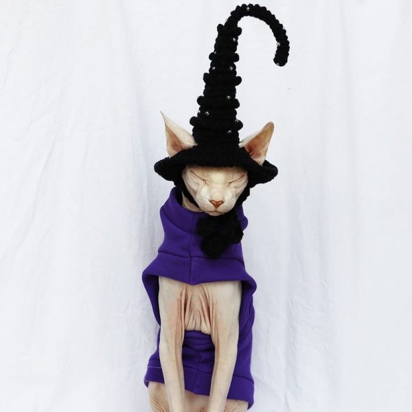 Halloween Kostüme für Kätzchen | Katze Halloween Kostüm - lila dick